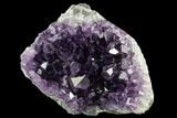Dark Purple, Amethyst Crystal Cluster - Uruguay #123796-1